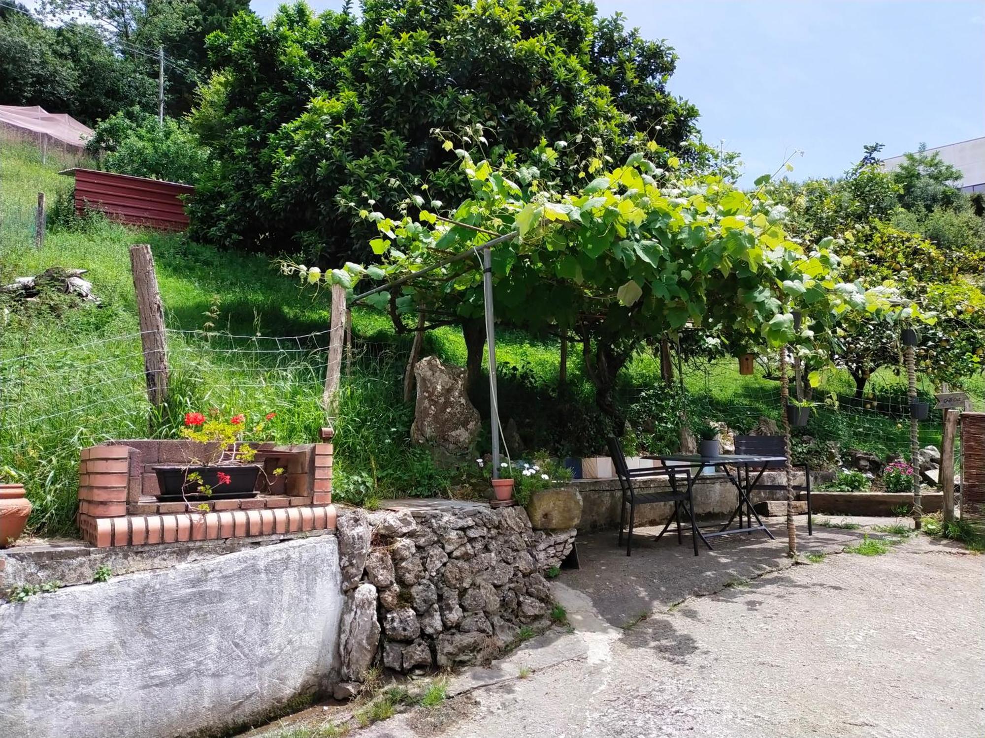 Antzomendi Daire Mutriku Dış mekan fotoğraf